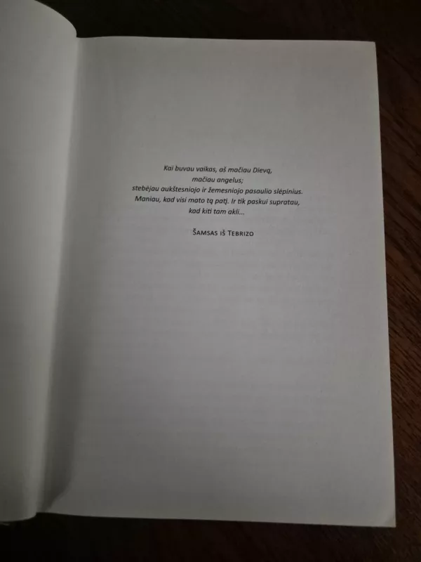 Keturiasdešimt meilės taisyklių - Elif Shafak, knyga 3