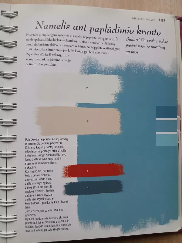 Spalvų taikymas interjere - Anna Starmer, knyga 3