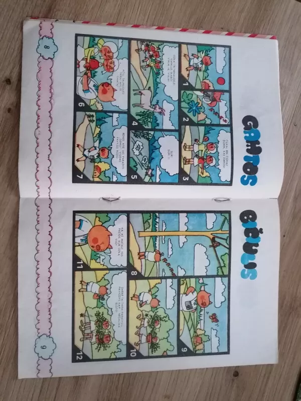 Paršiuko Čiuko nuotykiai - Birutė Petrauskaitė, knyga 3