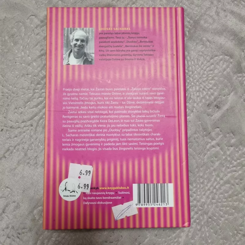 Maži žingsneliai - Louis Sachar, knyga 3