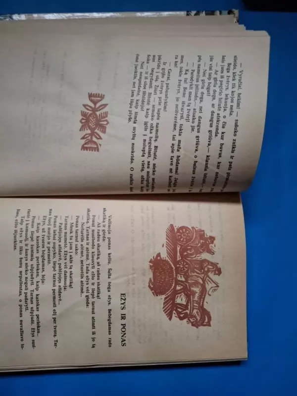 Gulbė karaliaus pati - Autorių Kolektyvas, knyga 2