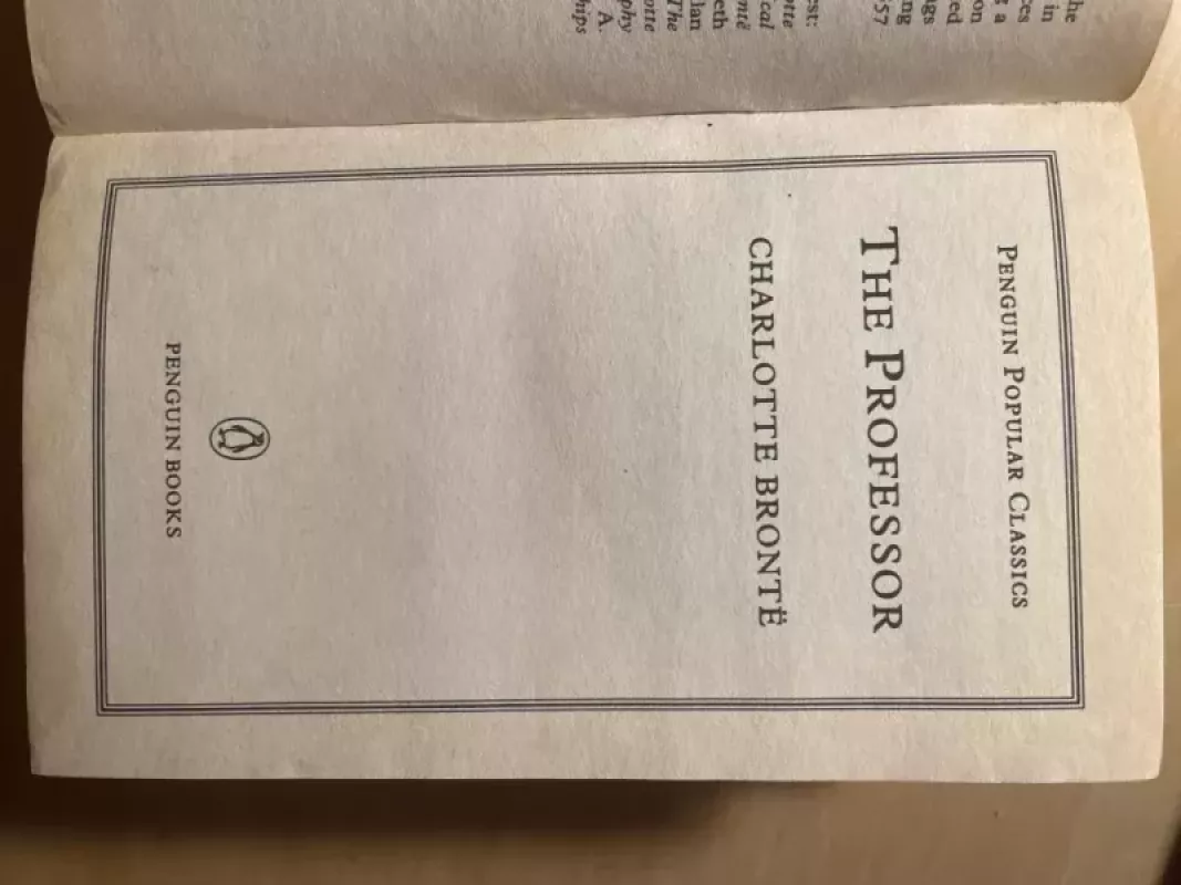 The Professor - Charlotte Bronte, knyga 4