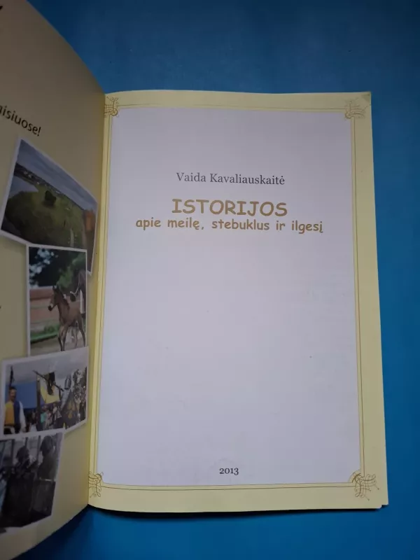 Istorijos apie meilę, stebuklus ir ilgesį - Vaida Kavaliauskaitė, knyga 3