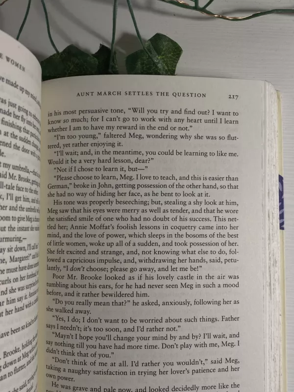 Little Women - Louisa May Alcott, knyga 3