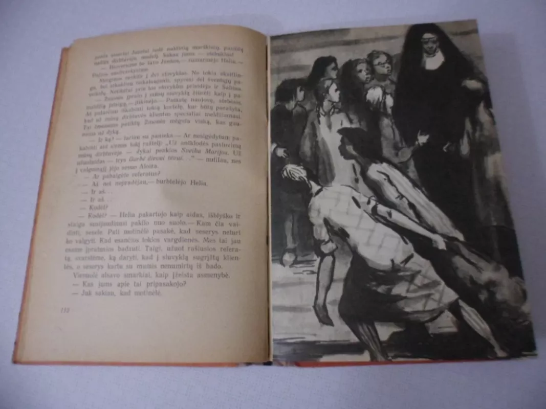 Sužadėtinės - Natalija Roleček, knyga 4