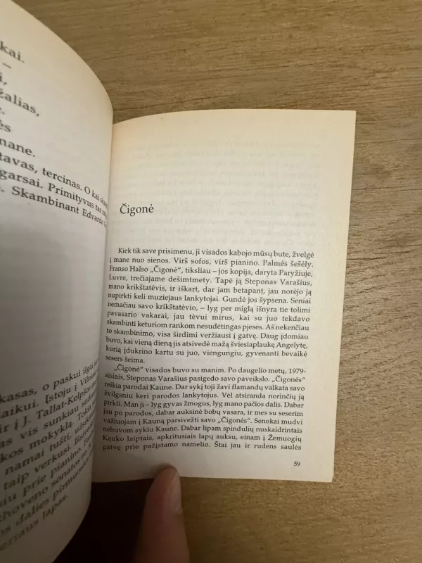 Vaikystės veidrody - Judita Vaičiūnaitė, knyga 6