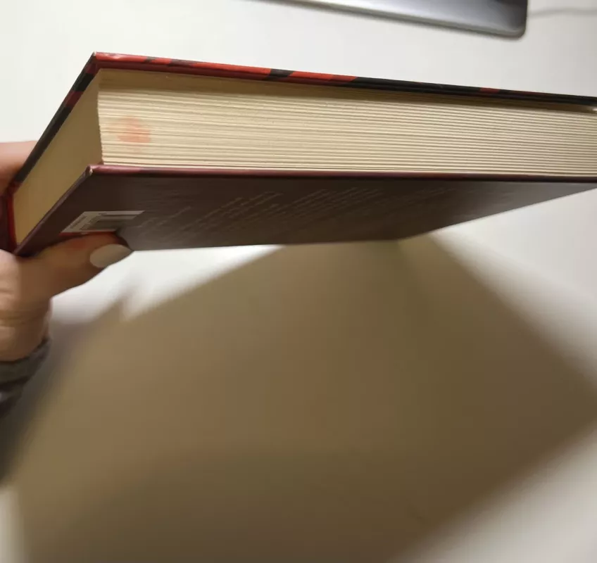 Nuopuolis ir pakilimas. Grišų trilogija. 3 knyga - Leigh Bardugo, knyga 3