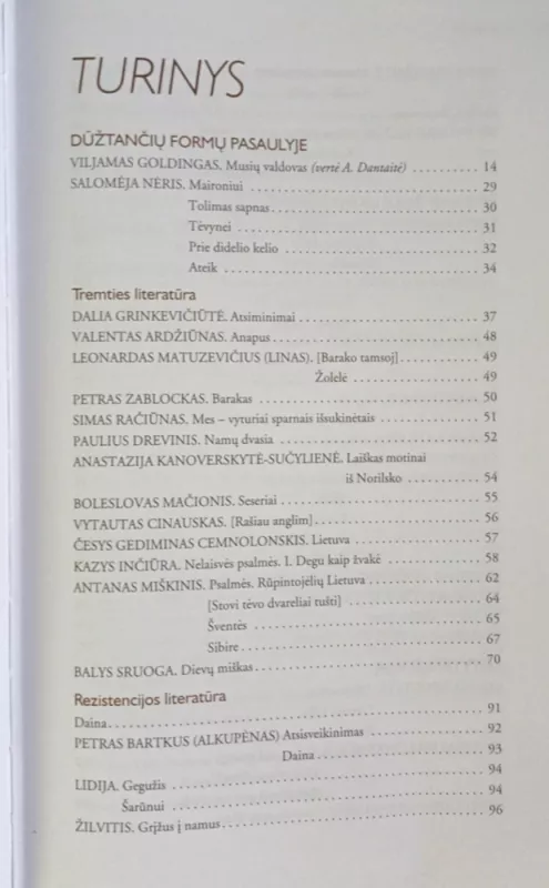 Literatūra X klasei (II dalis) - Rimavičiūtė Lina, knyga 4