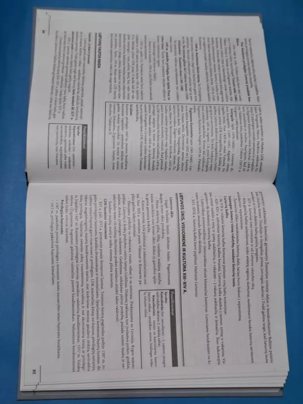 Istorija. Politologija - Nijolė Letukienė, Jonas  Gineika, knyga 5