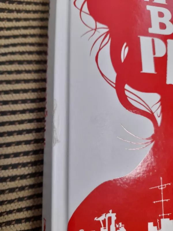 Butas Paryžiuje - Guillaume Musso, knyga 5