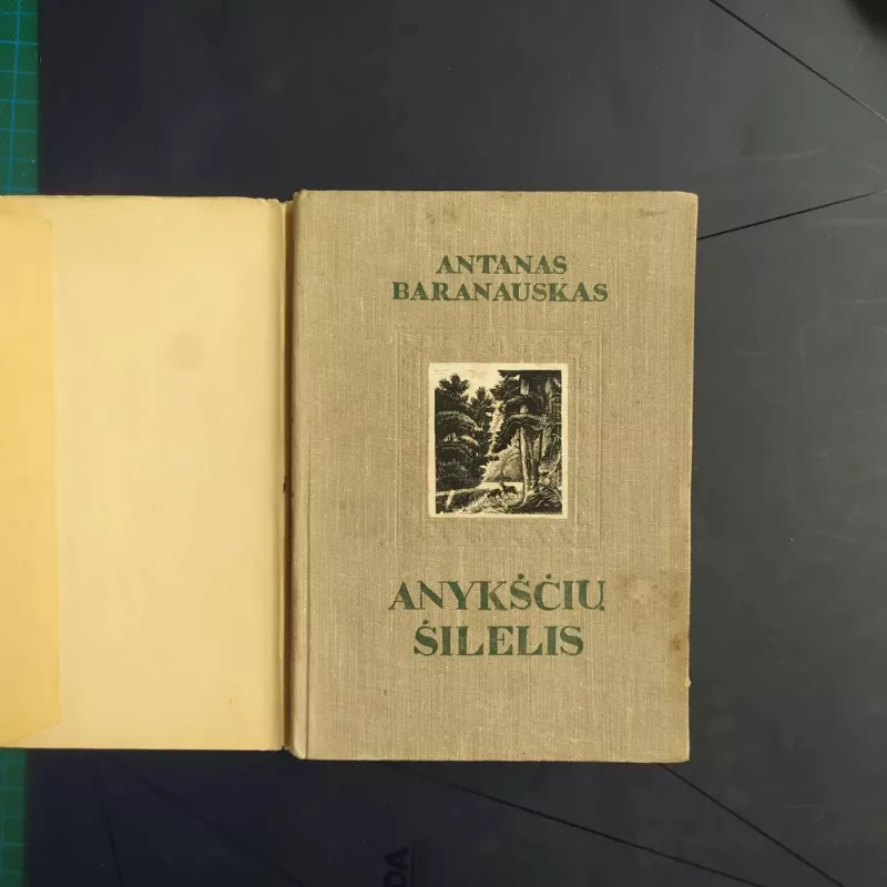 Anykščių šilelis - Antanas Baranauskas, knyga 2