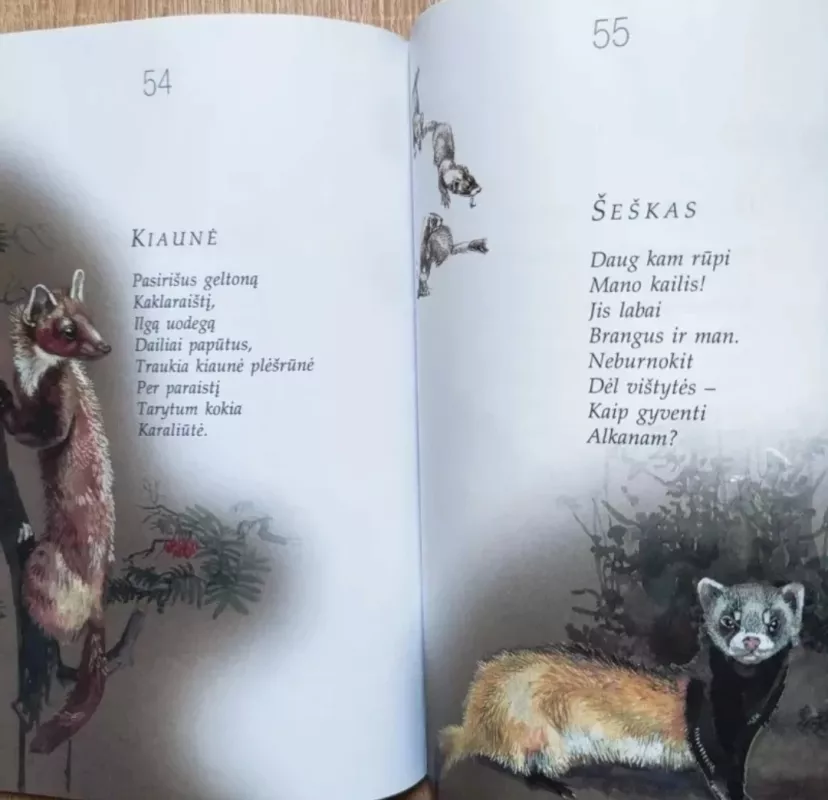 Šiaušia kuodą jerubė - Česlovas Navakauskas, knyga 4