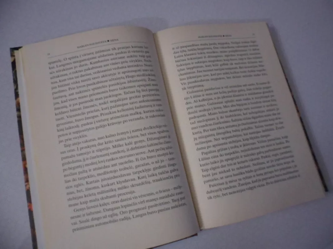 Siena: romanas - Marlen Haushofer, knyga 4