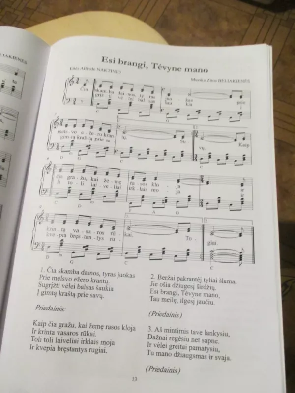 Svajonių viltis - alfredas naktinis, knyga 5