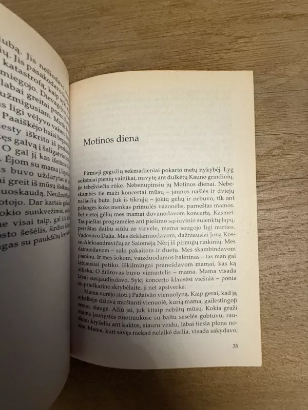 Vaikystės veidrody - Judita Vaičiūnaitė, knyga 5