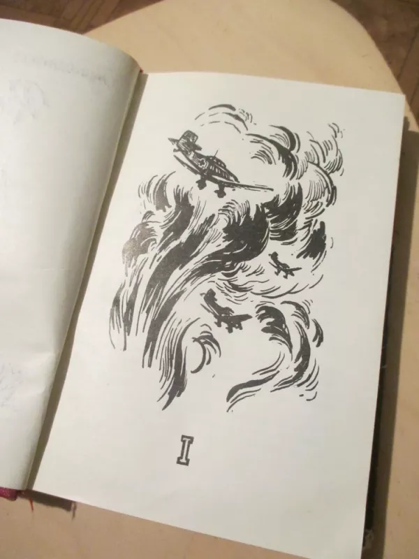 Rūdininkų girios partizanai - T. Mončiunskas, knyga 5