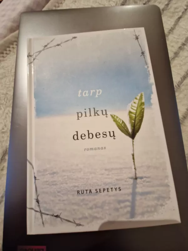 Tarp pilkų debesų - Šepetys Ruta, knyga 2