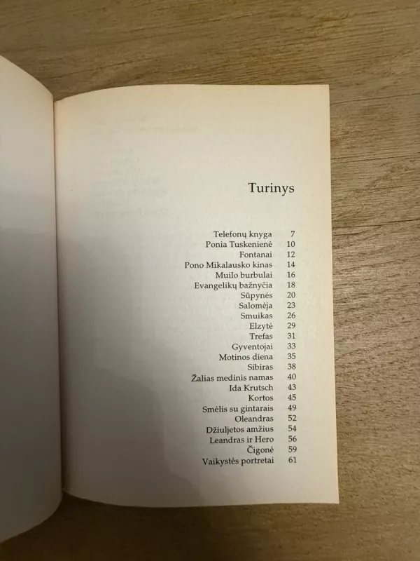 Vaikystės veidrody - Judita Vaičiūnaitė, knyga 4