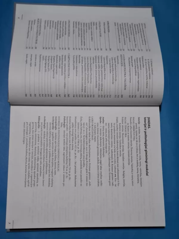 Istorija. Politologija - Nijolė Letukienė, Jonas  Gineika, knyga 4