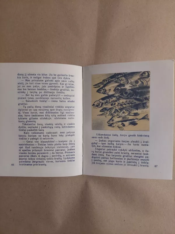 Pasakos, legendos, alegorijos - Leonardas Da Vinčis, knyga 3