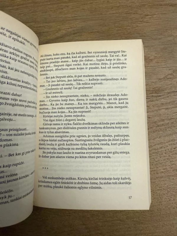 Už saulę gražesnis - Juozas Grušas, knyga 5