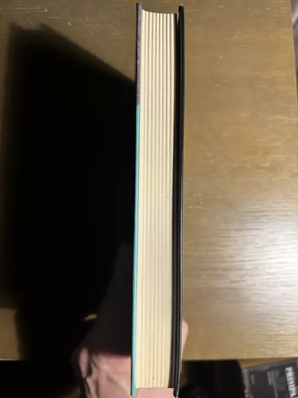 Nuostabioji draugė - Elena Ferrante, knyga 3