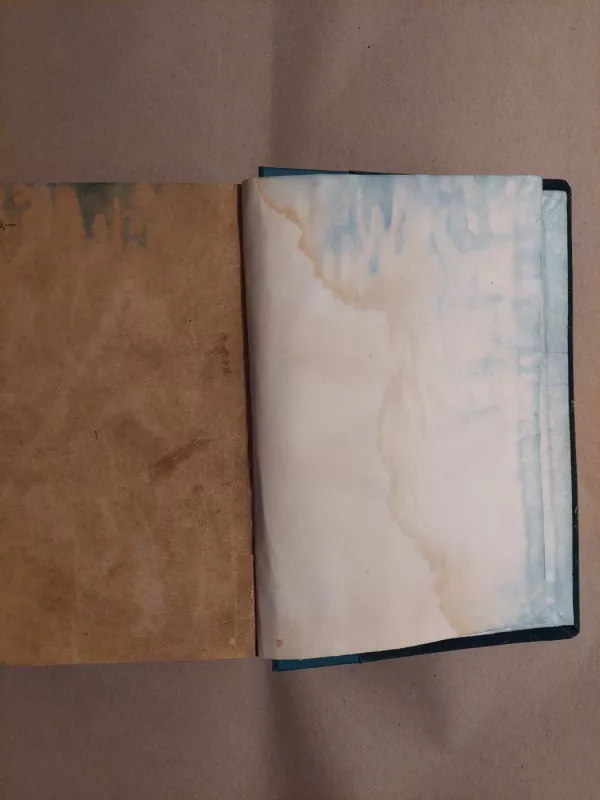 Išmoningasis idalgas Don Kichotas iš La Mančos 1 dalis - Miguel de Cervantes Saavedra, knyga 5