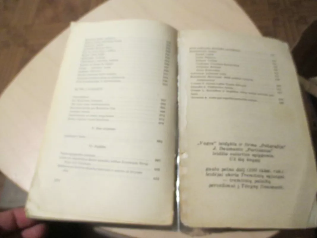 Partizanai - Juozas Daumantas, knyga 4