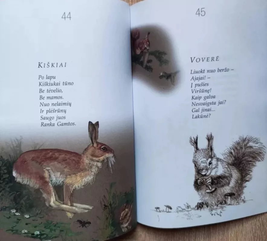 Šiaušia kuodą jerubė - Česlovas Navakauskas, knyga 6