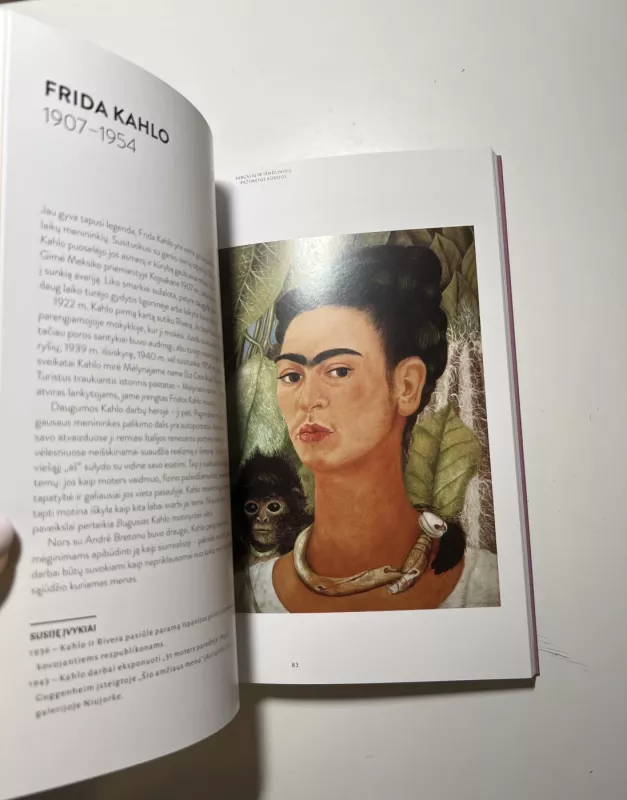 Menininkės - Flavia Frigeri, knyga 4