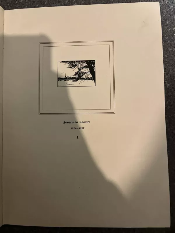 M. J. Lermontovas: Gyvenimas ir kūryba, 1814–1841 Albumas - kollektiv avtorov, knyga 5