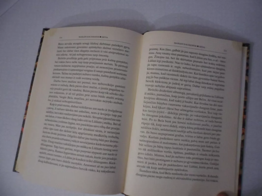 Siena: romanas - Marlen Haushofer, knyga 5