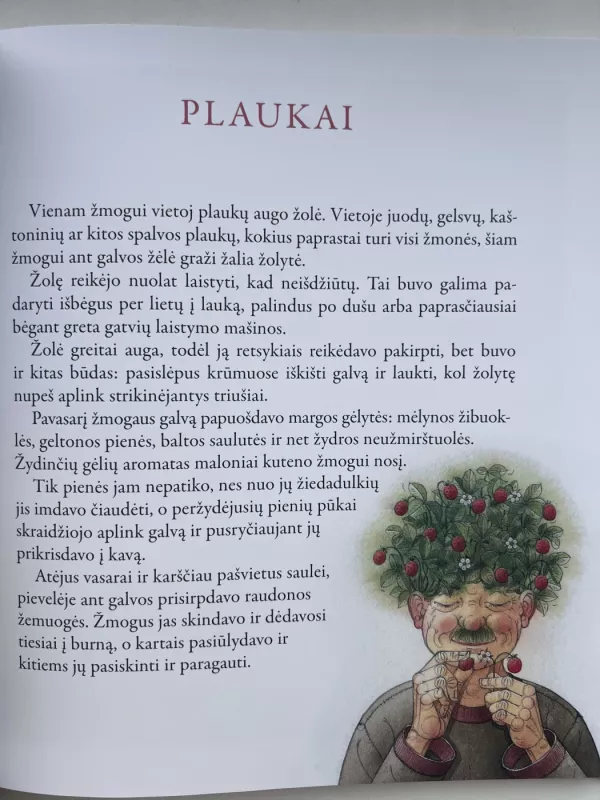 Braškių diena. Paslaptingos istorijos - Kęstutis Kasparavičius, knyga 4