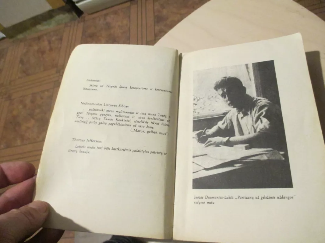 Partizanai - Juozas Daumantas, knyga 5