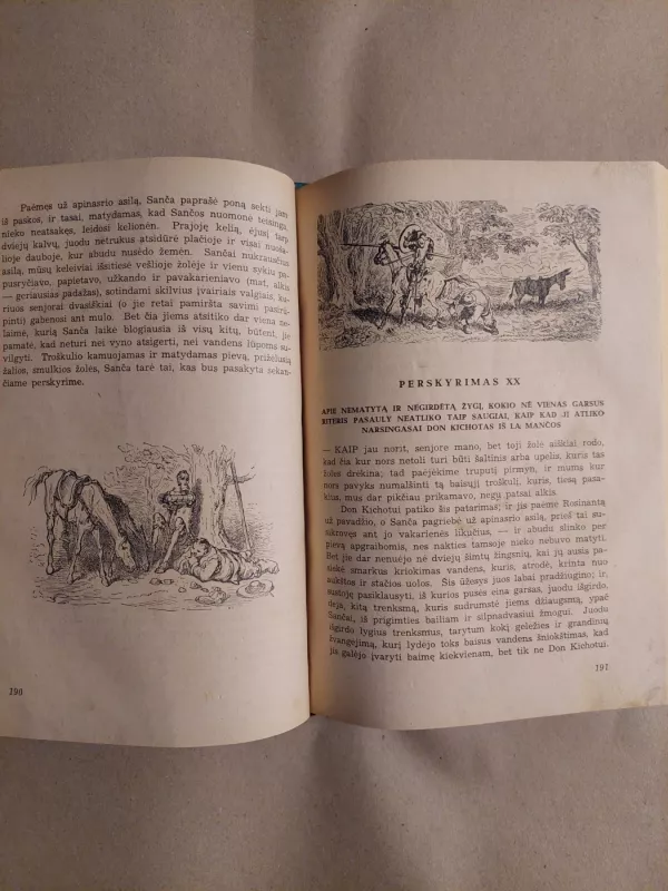 Išmoningasis idalgas Don Kichotas iš La Mančos 1 dalis - Miguel de Cervantes Saavedra, knyga 4