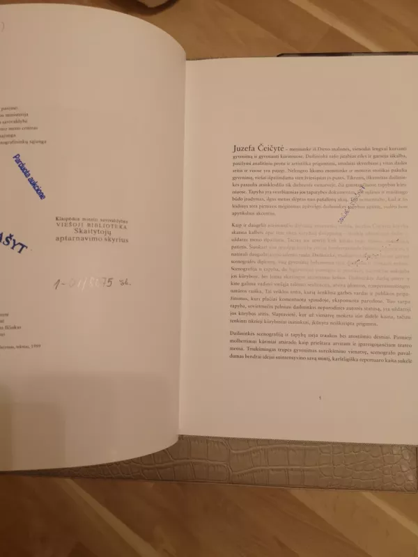 Tapyba - Juzefa Čeičytė, knyga 6