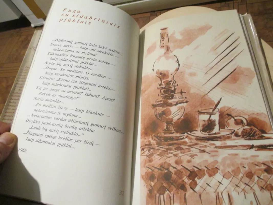 Neužpūsk pienės pūko - Janina Degutytė, knyga 6