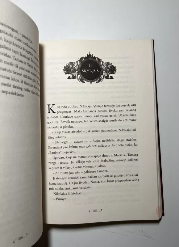 Nuopuolis ir pakilimas. Grišų trilogija. 3 knyga - Leigh Bardugo, knyga 4
