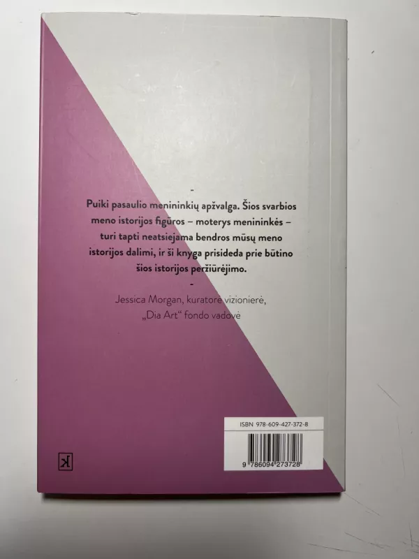 Menininkės - Flavia Frigeri, knyga 5