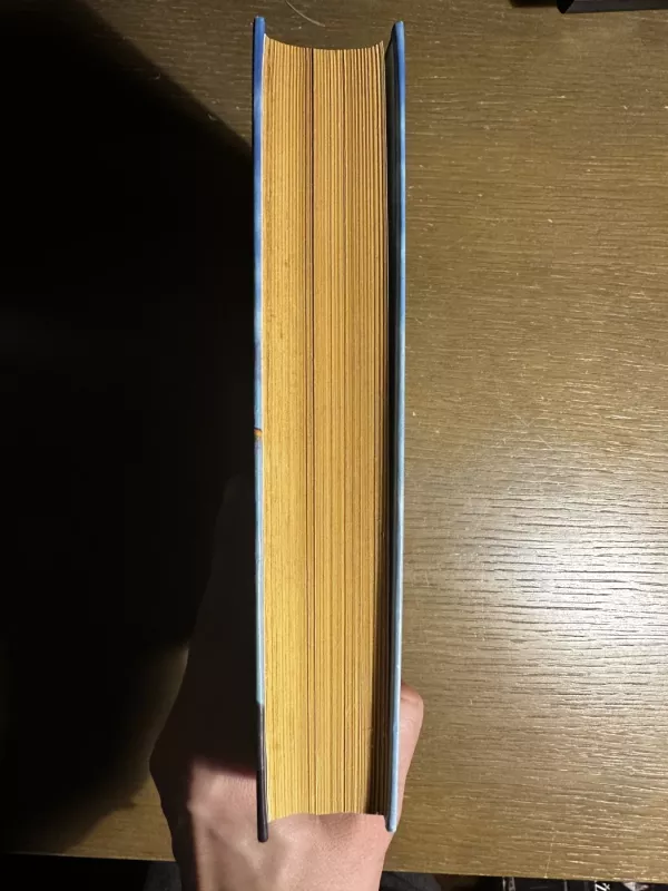 22-oji išlyga - Joseph Heller, knyga 4