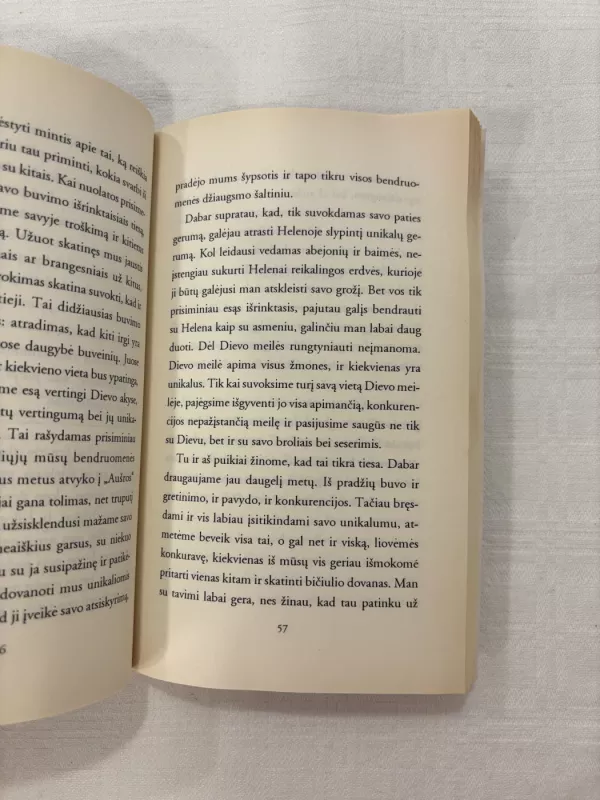 Mylimojo gyvenimas - Henri Nouwen, knyga 4