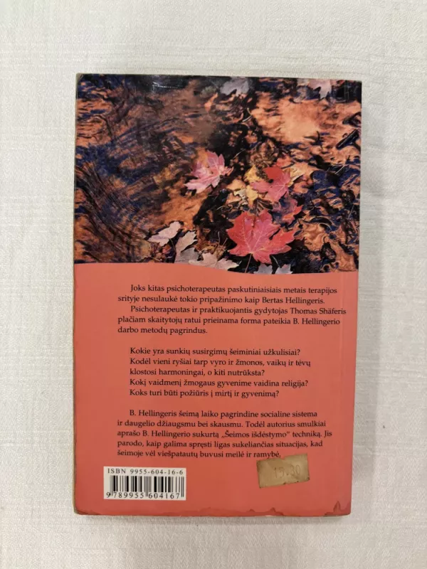 Kas sielą skaudina ir kas gydo - Thomas Schafer, knyga 4