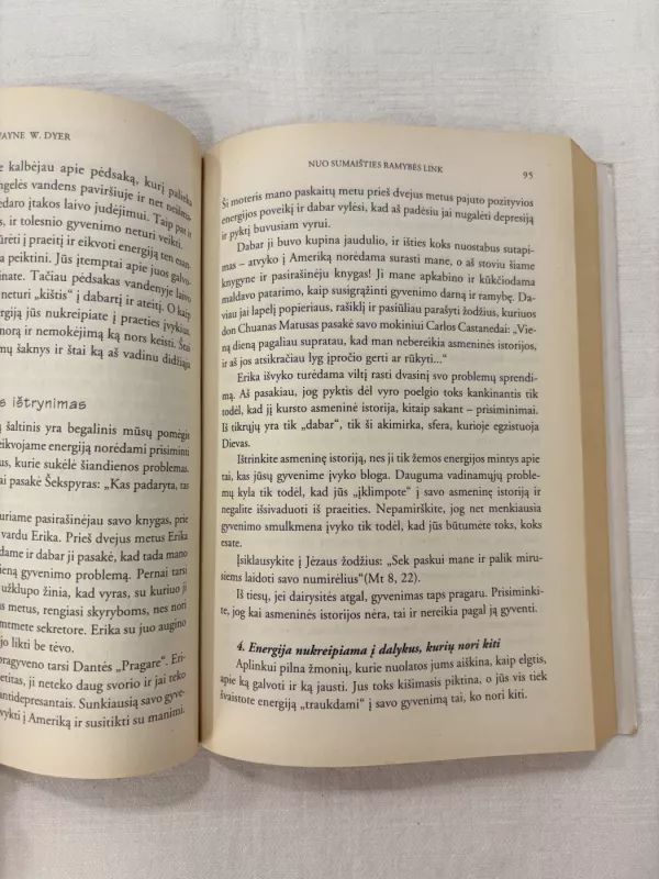 Nuo sumaišties ramybės link - Wayne W. Dyer, knyga 5