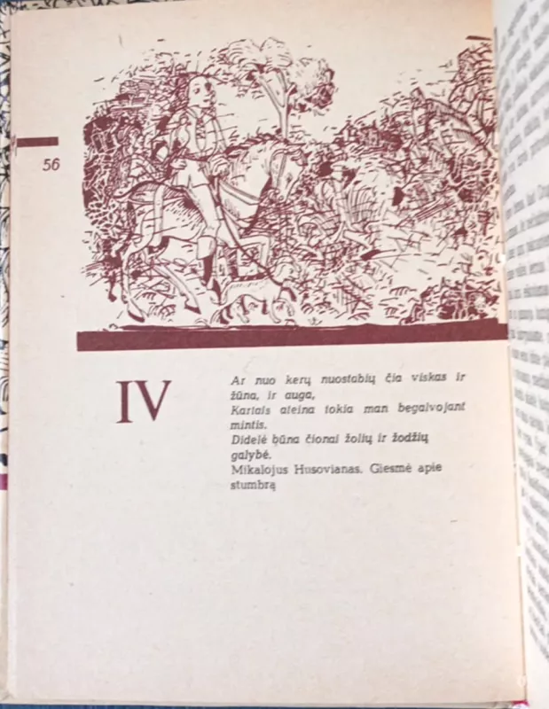 Įkaitai - Algirdas Pocius, knyga 5