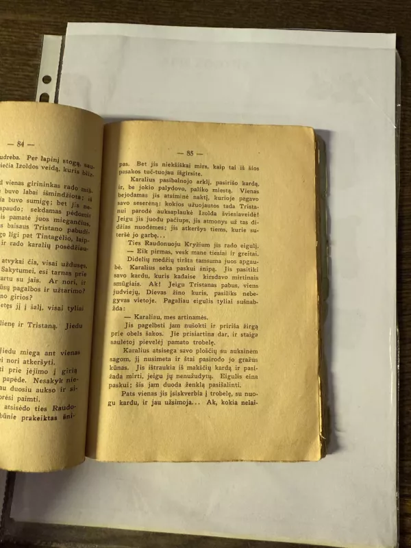 Tristanas ir Izolda - Joseph Bedier, knyga 6