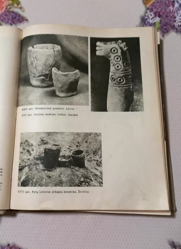 Lietuviai IX-XII amžiais - Regina Volkaitė-Kulikauskienė, knyga 4