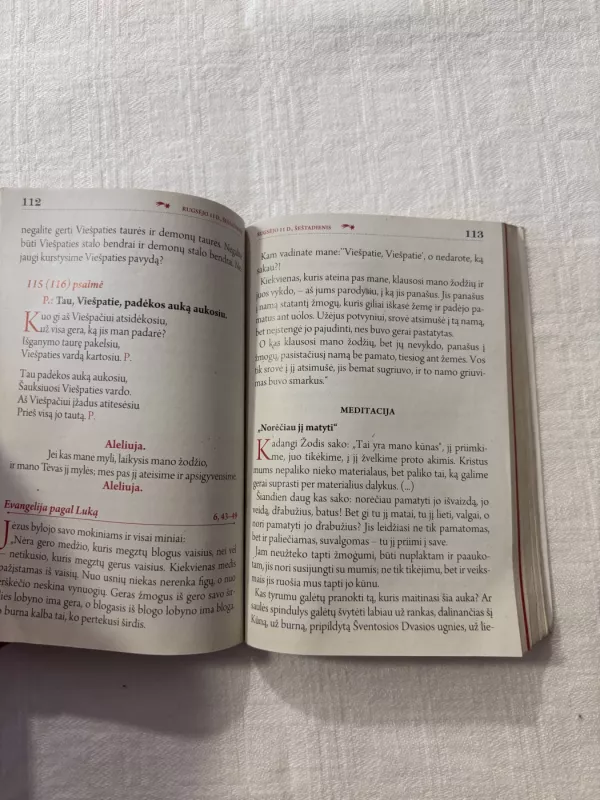 Magnificat. Kasdieniniai skaitymai - Indrė Klimkaitė, knyga 4