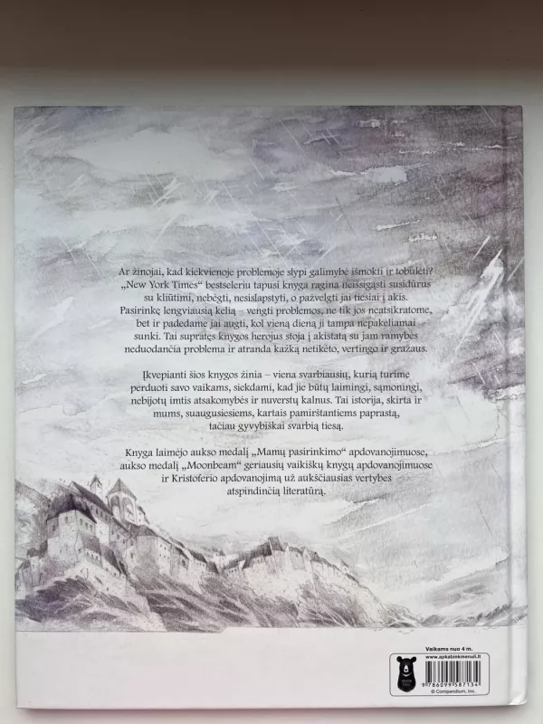 Ką daryti susidūrus su problema? - Kobi Yamada, knyga 4