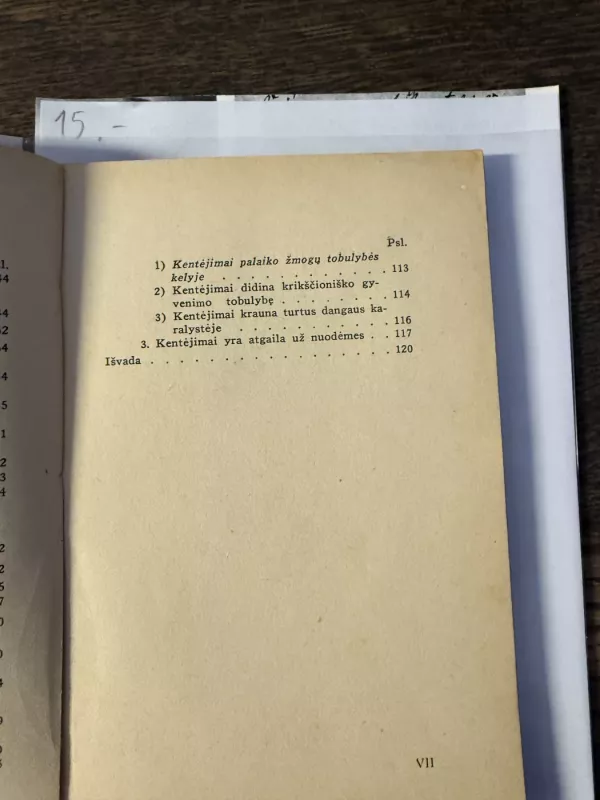 Kentėjimų problema - Ladas Tulaba, knyga 6