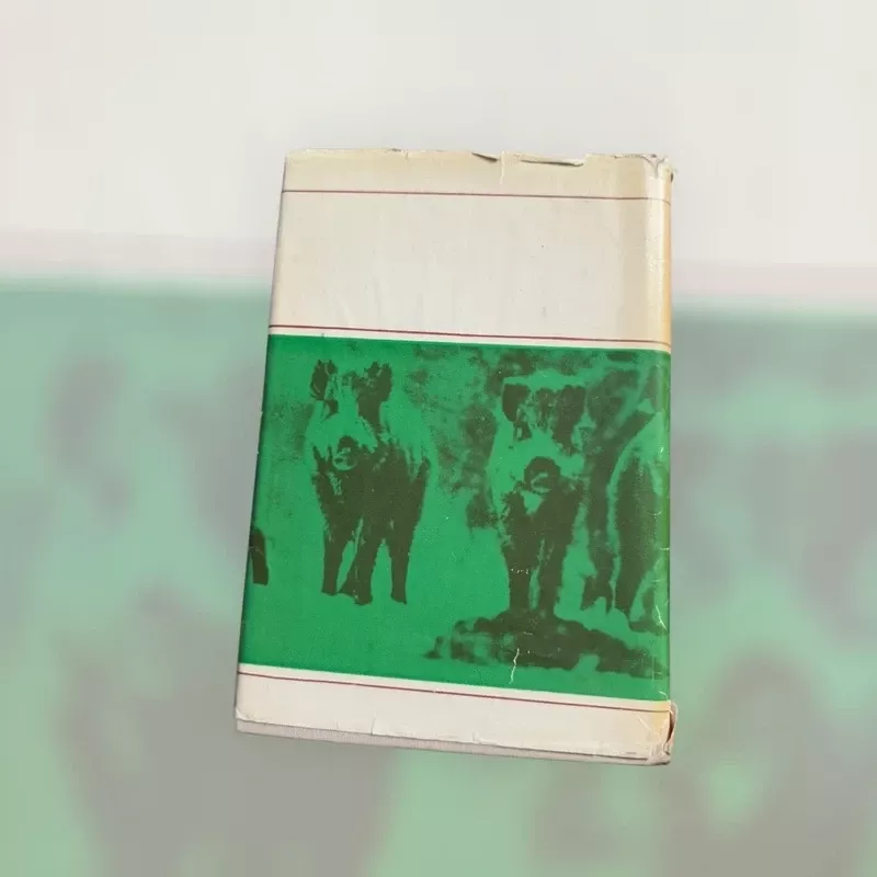 Gamtininko užrašai - Tadas Ivanauskas, knyga 4